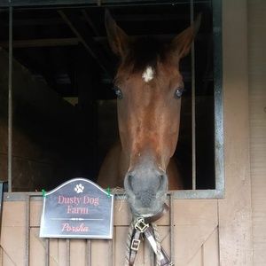 Meet your Posher, Jamie